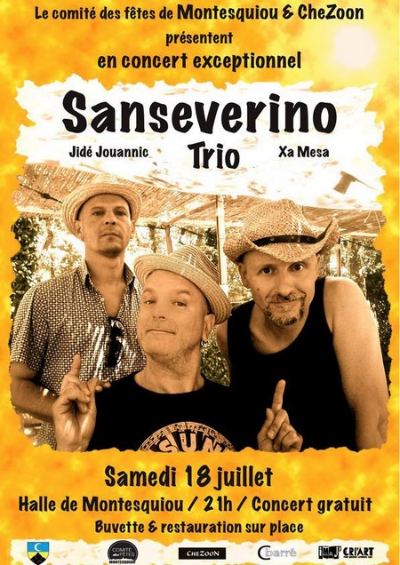 Affiche concert Sanseverino