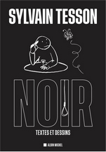 Noir, Sylvain Tesson, éditions Albin Michel