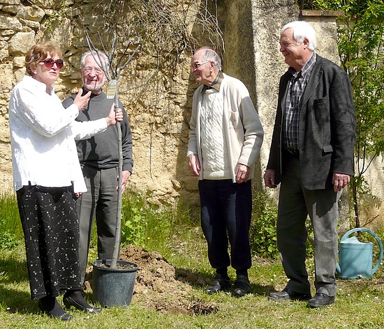 Plantation du figuier par Georges Bernès et Mr Perussan