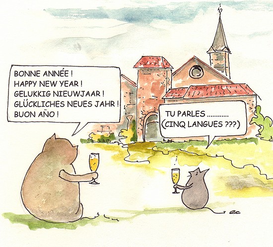 Bonne année 2014